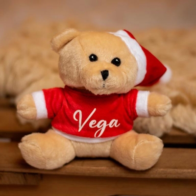 Osito de peluche personalizado con gorrito de Papá Noel y camiseta roja para Navidad.